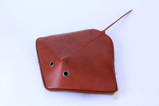 【3月18日晚上7點(台灣時間)轉售】ray bag