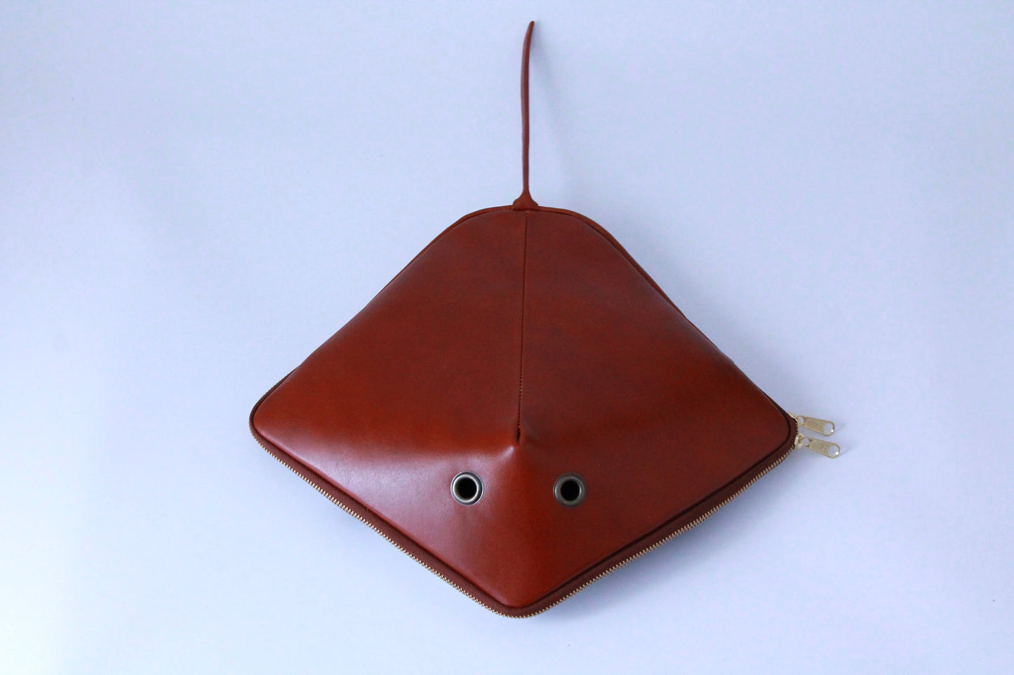 【3月18日晚上7點（台灣時間）轉售】ray bag