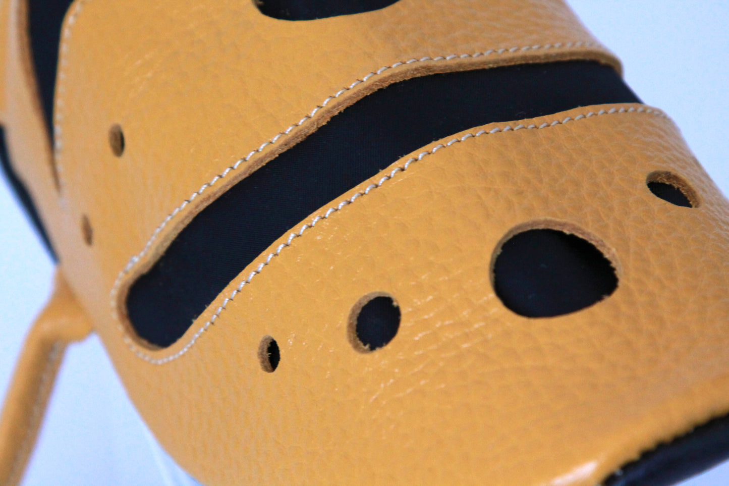 【3月18日晚上7點（台灣時間）轉售】Yellow-banded poison dart frog bag