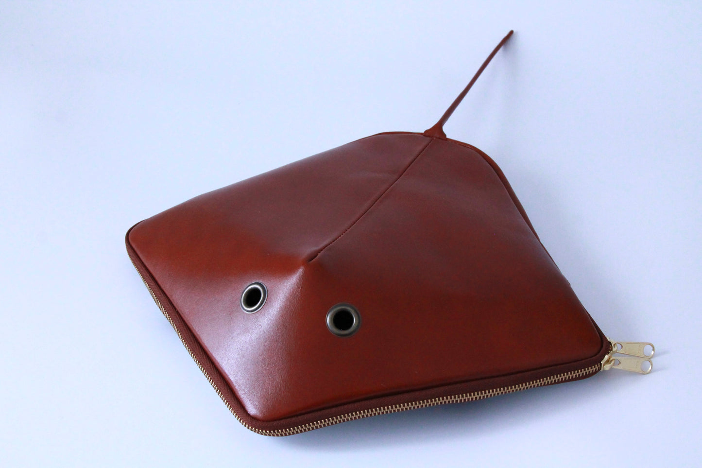 【3月18日晚上7點（台灣時間）轉售】ray bag